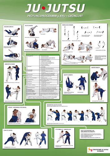 Ju-Jutsu Lehrtafel Prüfungsprogramm als Poster 60x42cm 